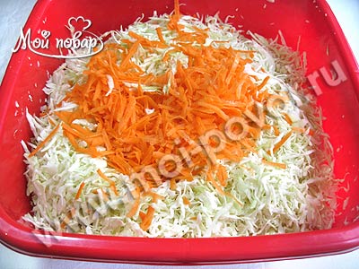 Ингредиенты для «Квашеная капуста со свеклой и морковью»: